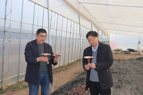 /gb2312/qishiyegonghui/11507.html